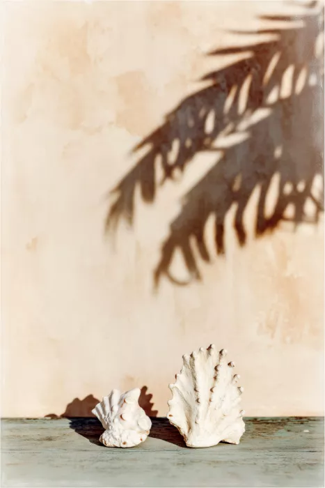 Treechild: Momenti silenziati n. 03