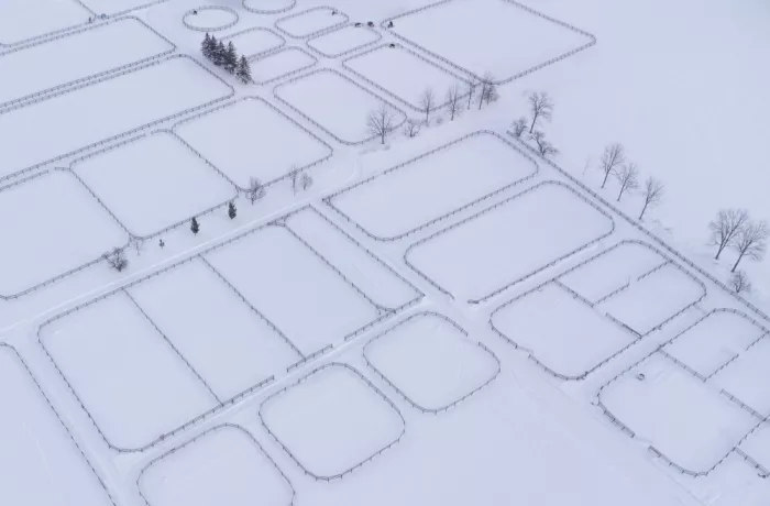 Zhao, Emma: Gut angelegte Farm im Winter