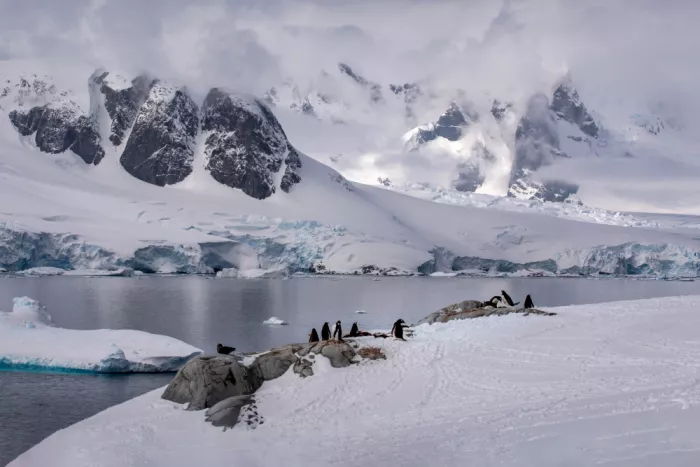 Liu, Ren Raymond: The Scenery Seen from High Place in Antarctic Peninsula