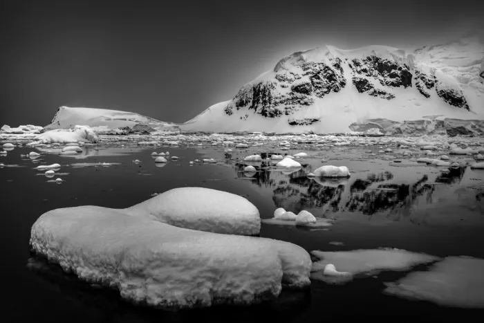 Liu, Ren Raymond: The Iceberg and Floating Ice