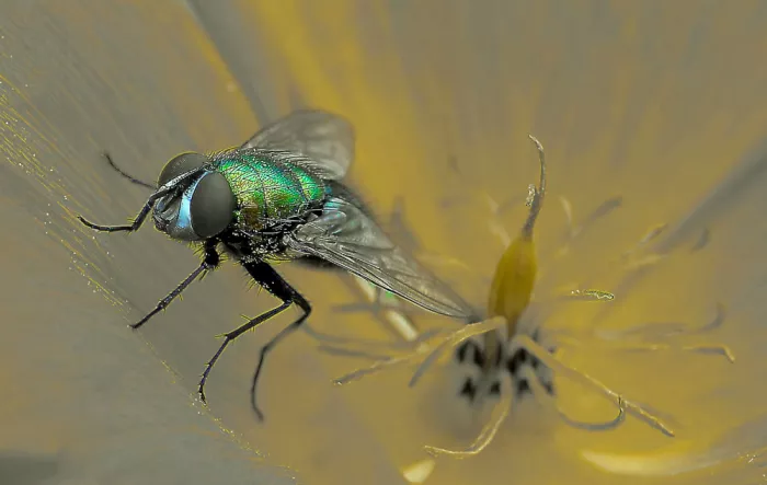 Dufour, Thierry: Nella sua miniera d