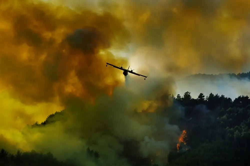 Grambone, Antonio: L'avion Canadair en action - luttant pour le salut de la forêt.