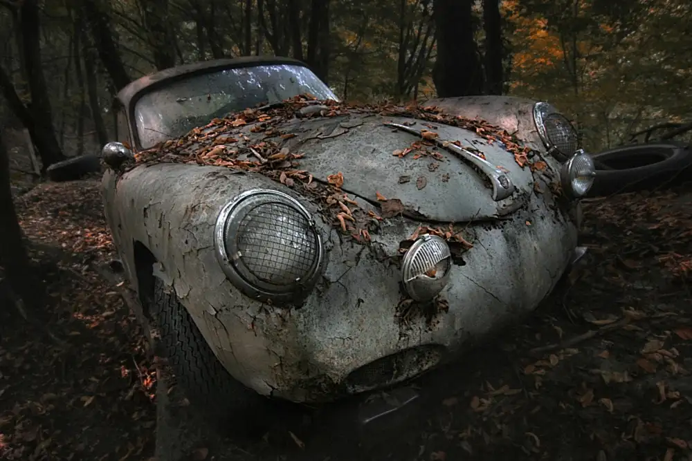 Droste, Holger: foresta rossa