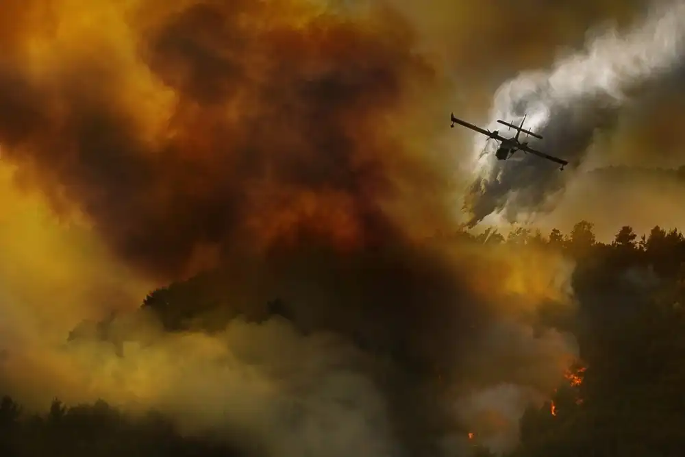 Grambone, Antonio: Incendie dans le Parc National du Cilento (SA) - Italie