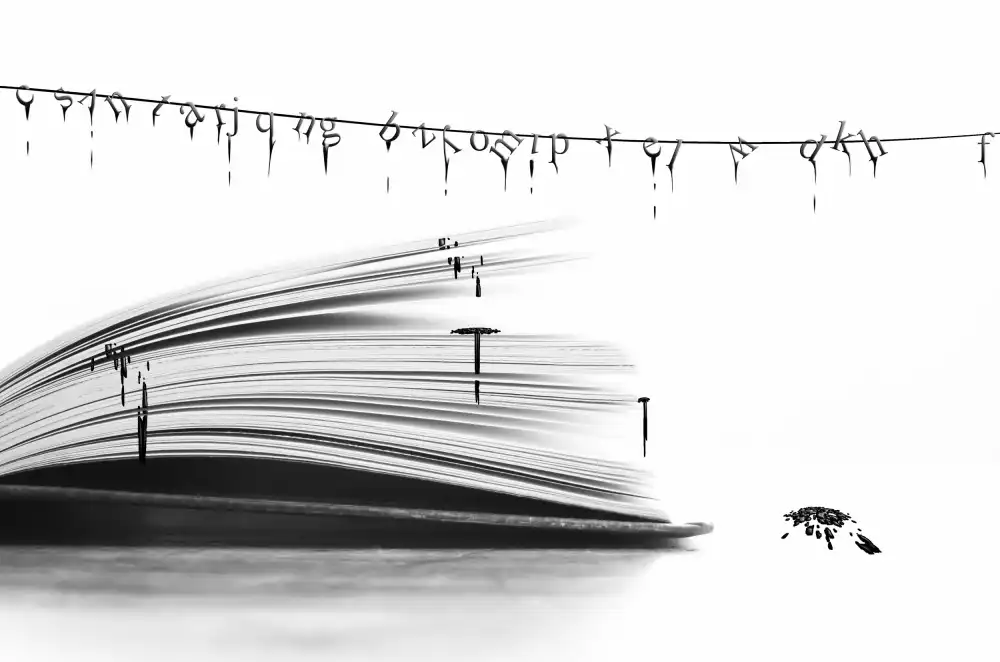 Senechal, David: Encre 2