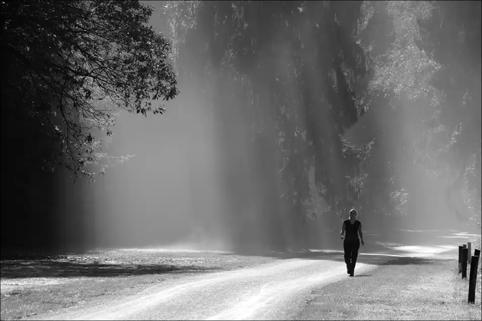 Limberg, Huib: Passeggiata mattutina autunnale