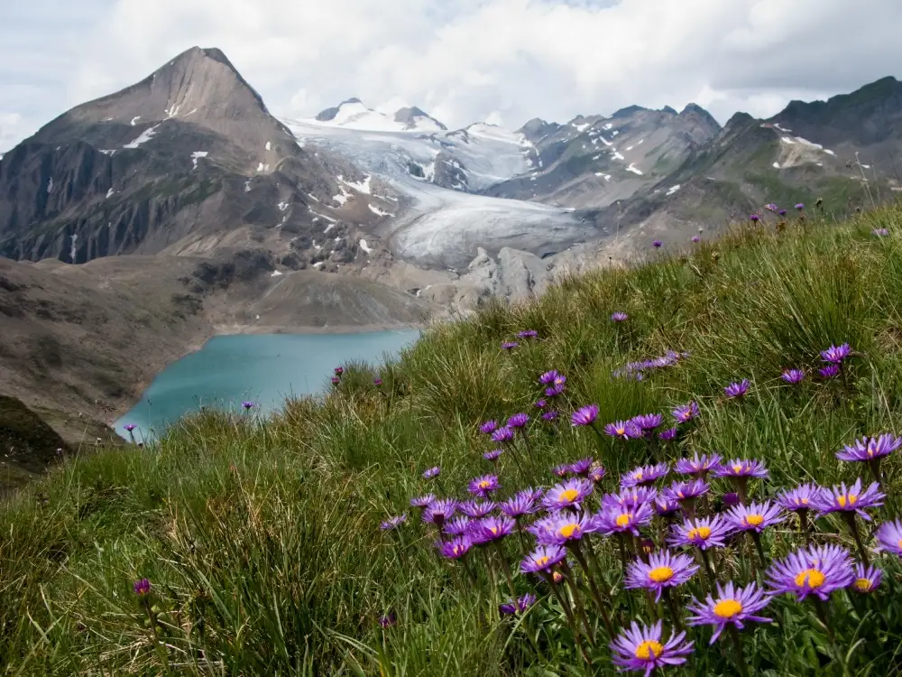 Guarino, Vito: Corno Gries,Svizzera