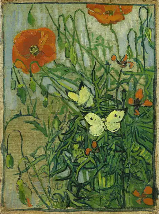 Gogh, Vincent van: Motýli a vlčí máky