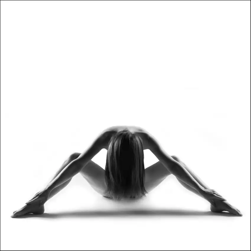 Kanovits, Gabor: Geometry of the body