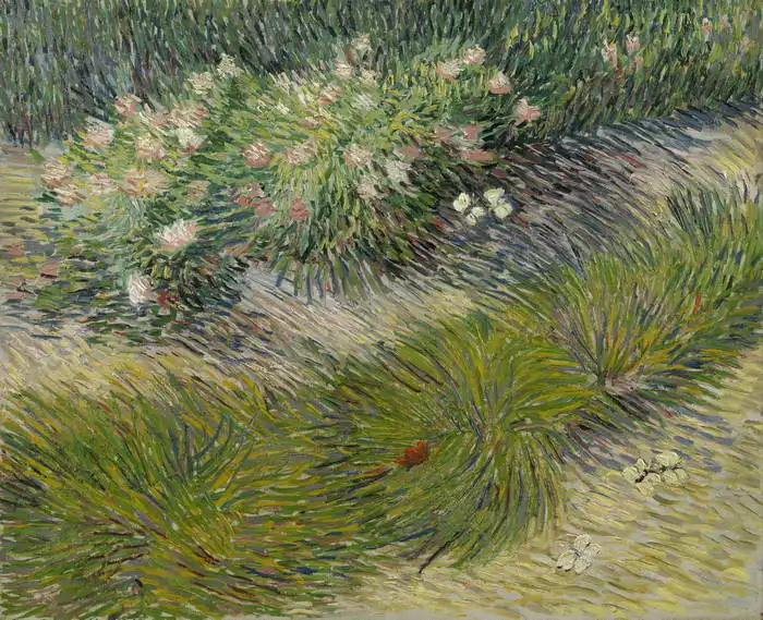 Gogh, Vincent van: Tráva a motýli