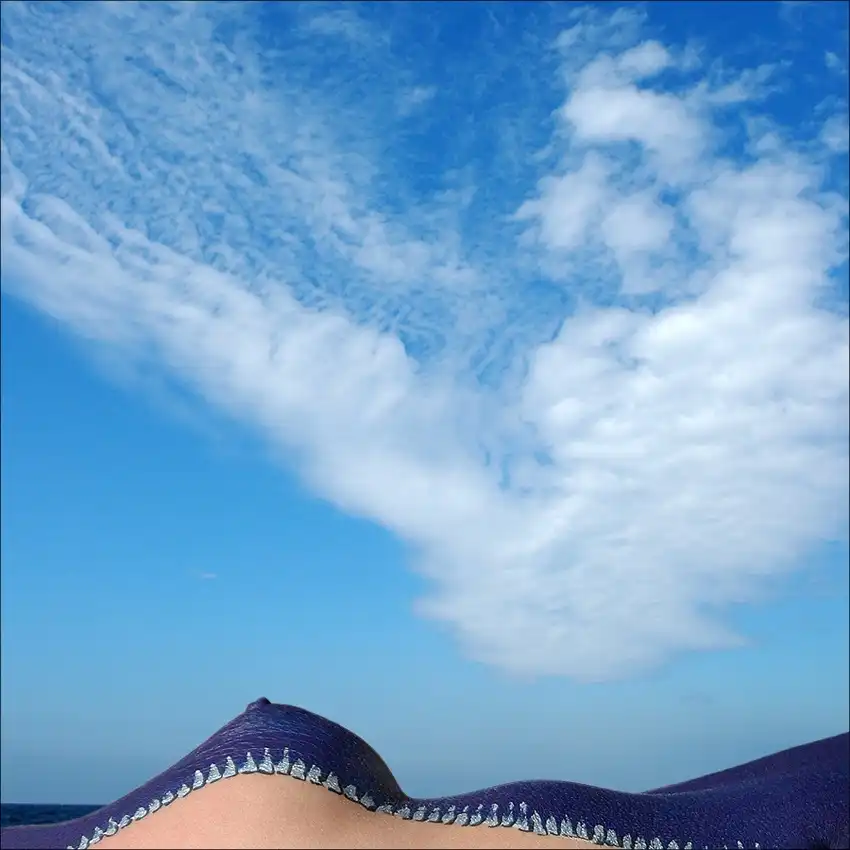 Limberg, Huib: Dune