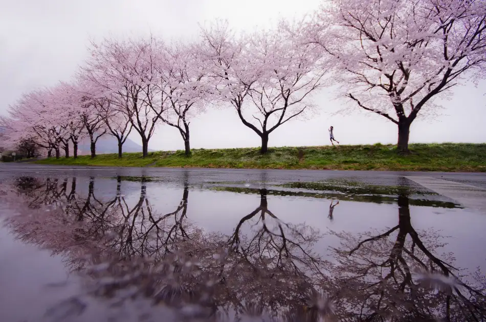 Tomihisa, Kouji: Pioggia di primavera