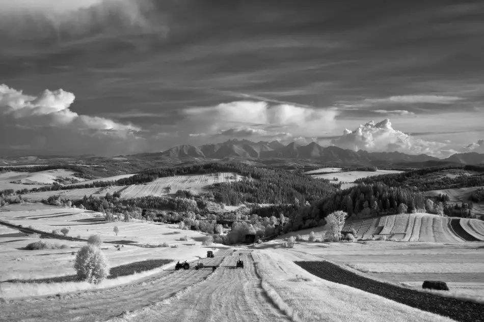 Kruk, Przemyslaw: ***