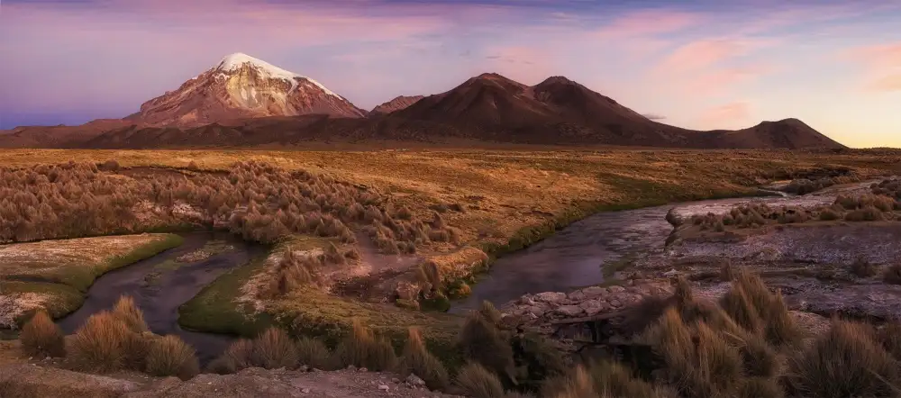 Chernilova, Margarita: Sajama,sera