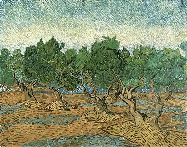 Gogh, Vincent van: Olivovníky