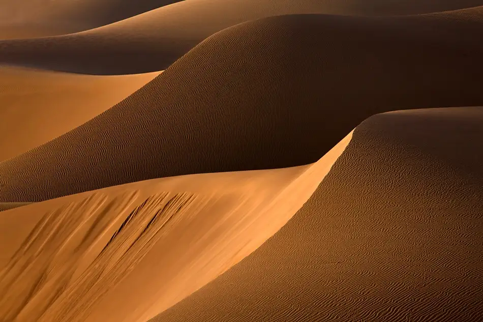 Momeni, Mohammadreza: Danza di luce