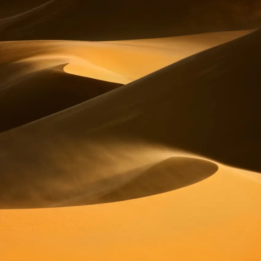 Hoffmann, Raymond: ...dune