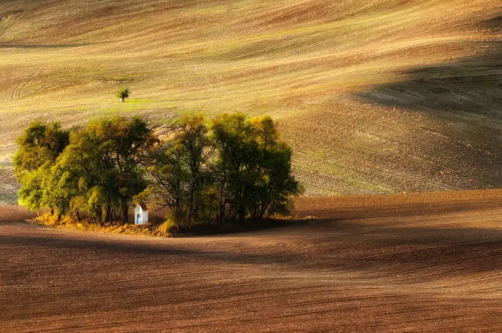 Krol, Bax Piotr: chapelle des champs