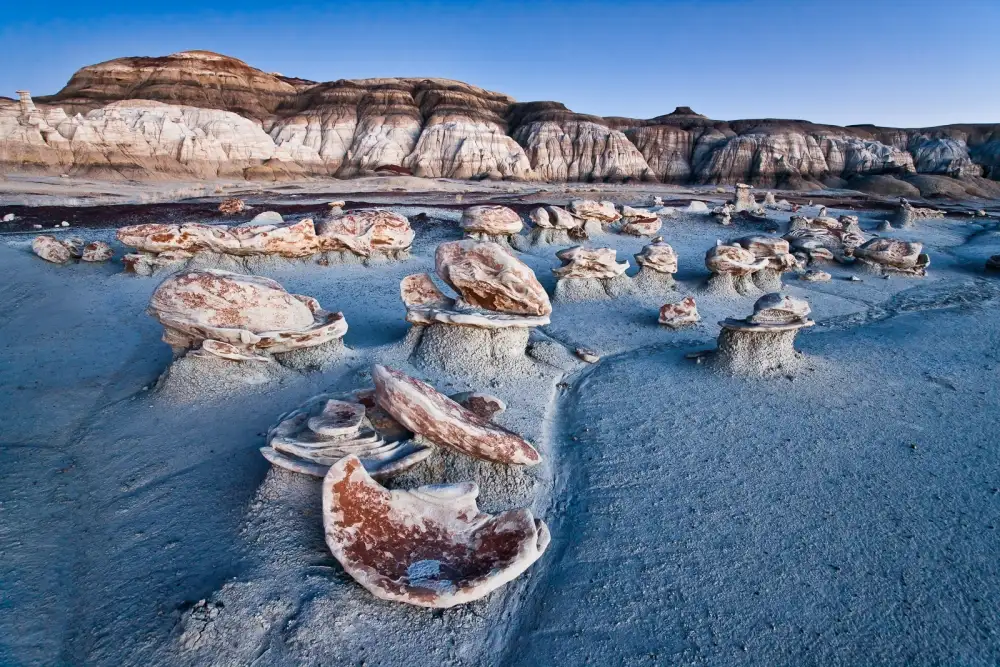 Fan, John: Bisti Blu