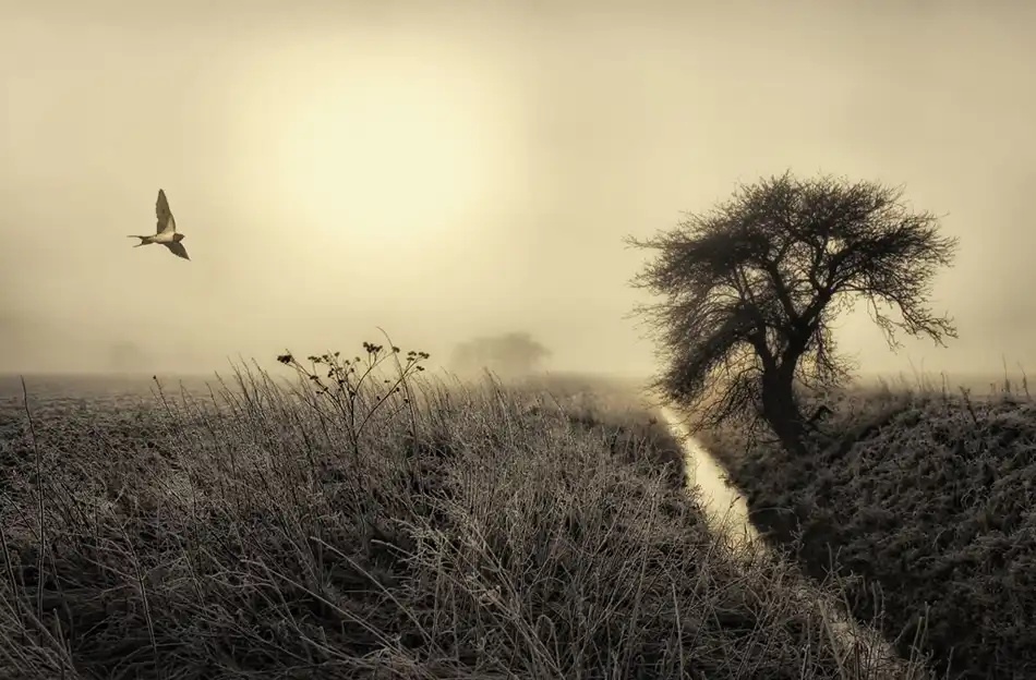 Mathiesen, Kent: Humeur matinale