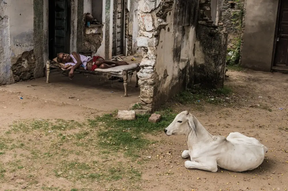 Alnaser, Mohammed: L'heure de la sieste