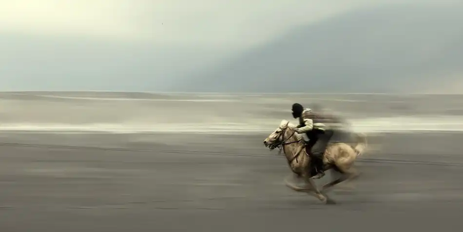 Kisworo, Sebastian: Cavallo volante