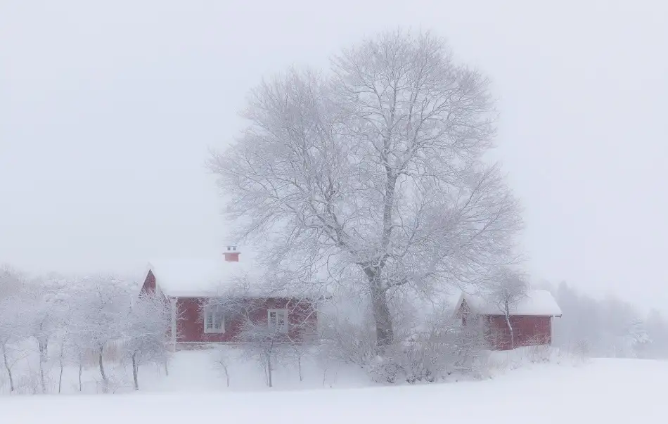 Wallberg, Allan: Winteridylle
