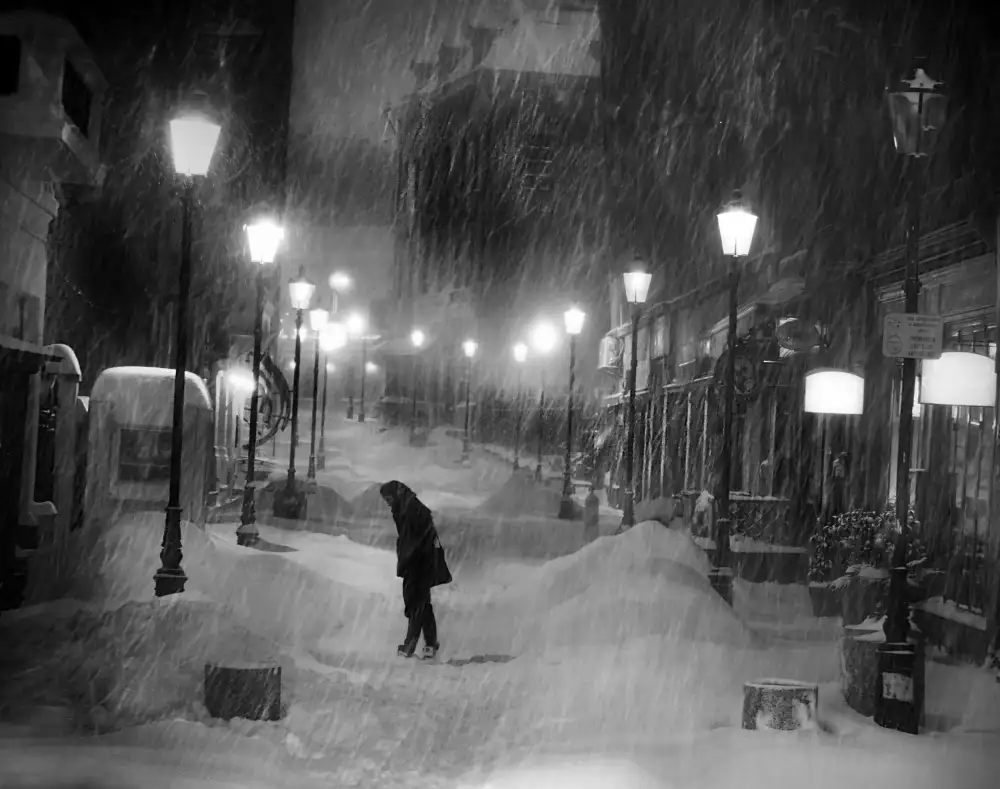 Andreescu, Cristian: hrobka neige...
