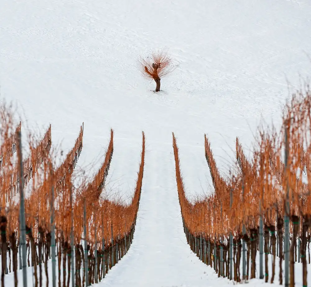 Kravanja, Jure: Inverno