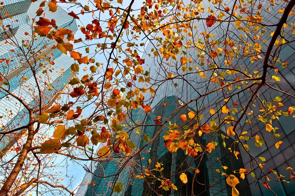 Kravanja, Jure: Autunno