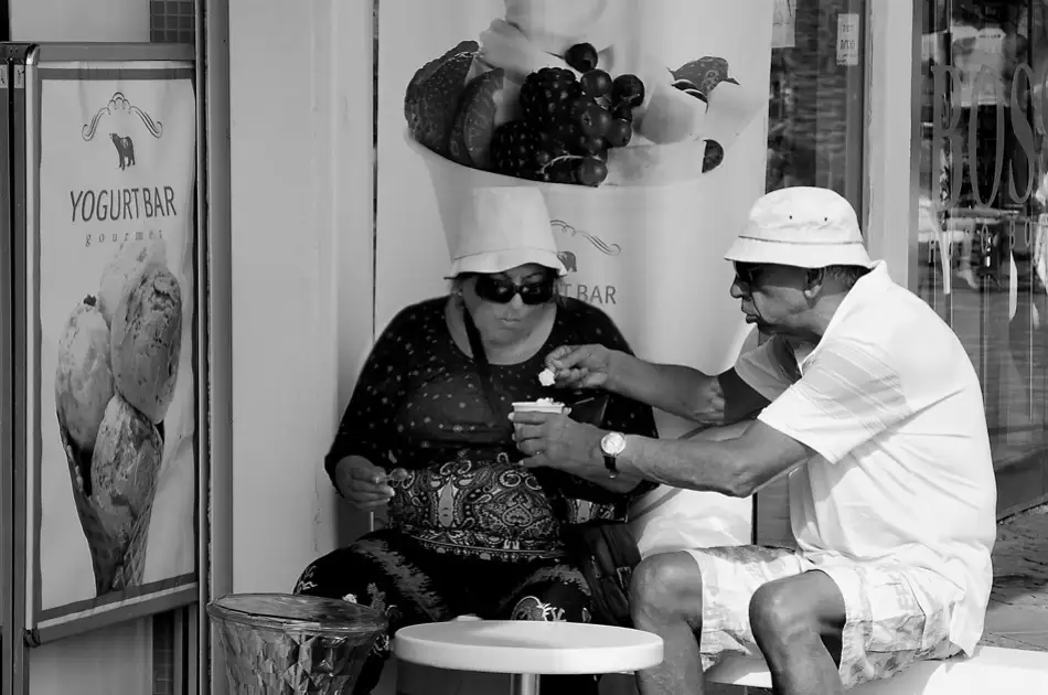 Babitz, Dani: Yogurt bar