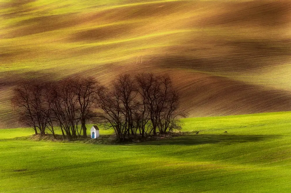 Krol, Bax Piotr: chapelle du printemps