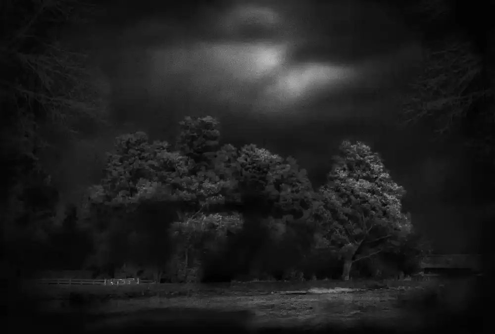 Yvette, Depaepe: Moonlight Rêverie