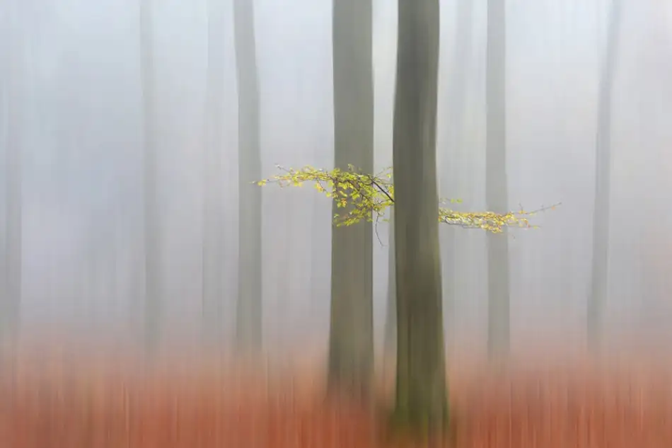 Limberg, Huib: Mattina d'autunno