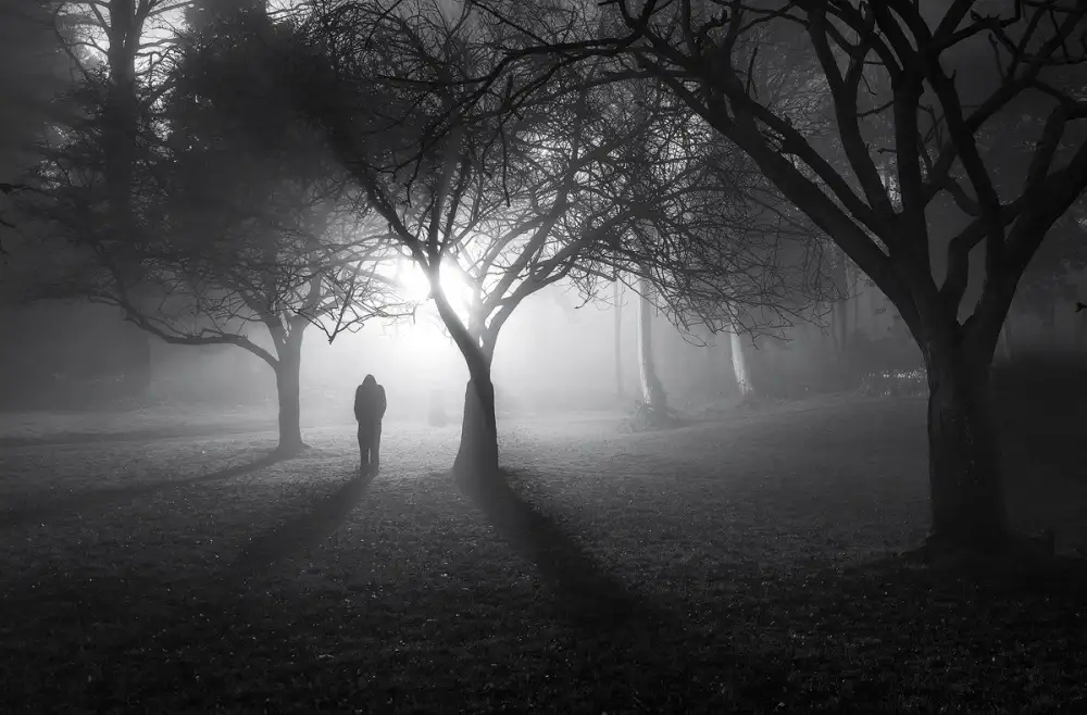 Pancareken, Yavuz: In una terra di nebbia!