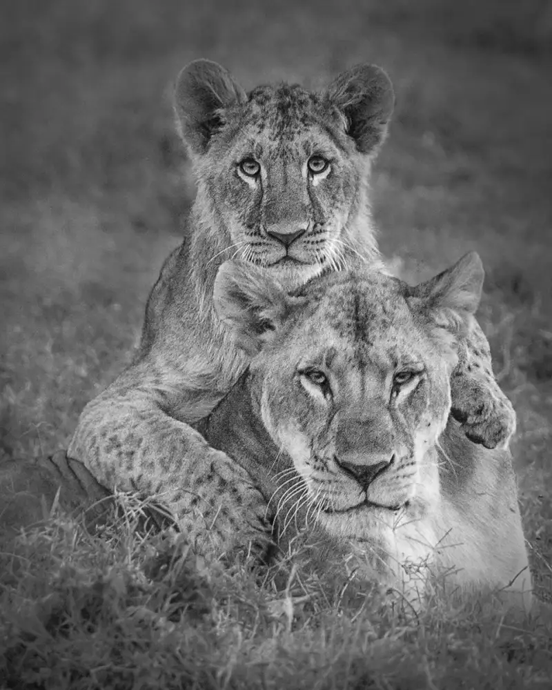 Khataw, Ali: Playtime with Mama!