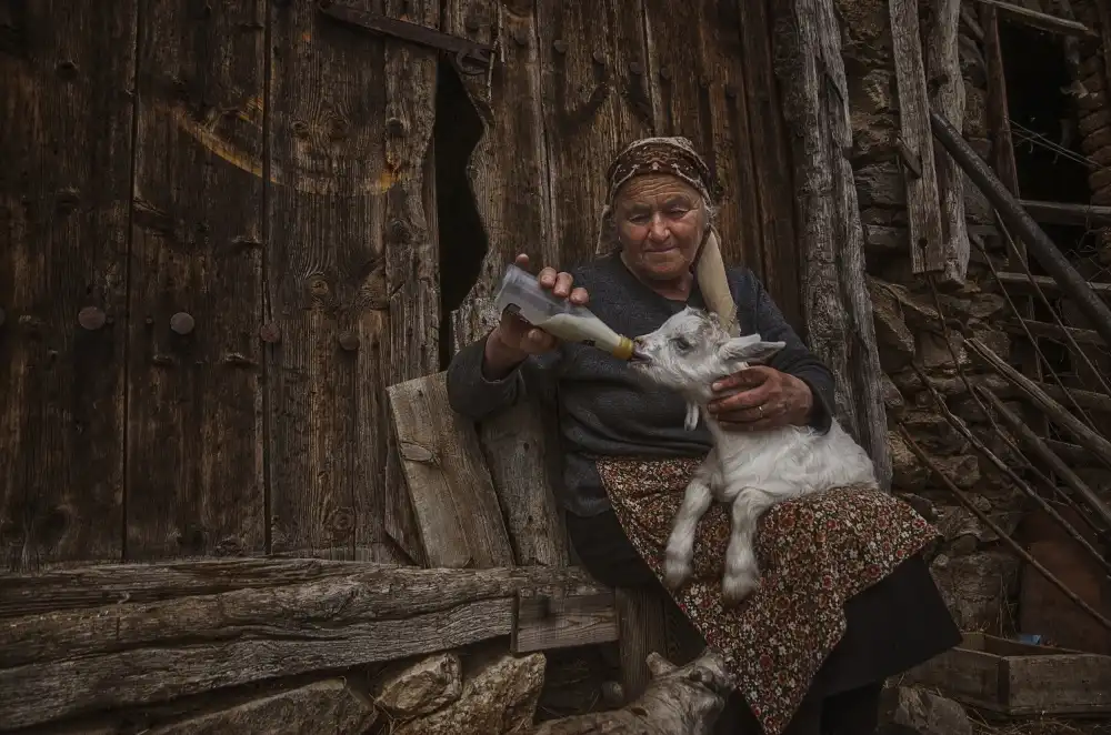 Ignatova, Desislava: Madre sostitutiva