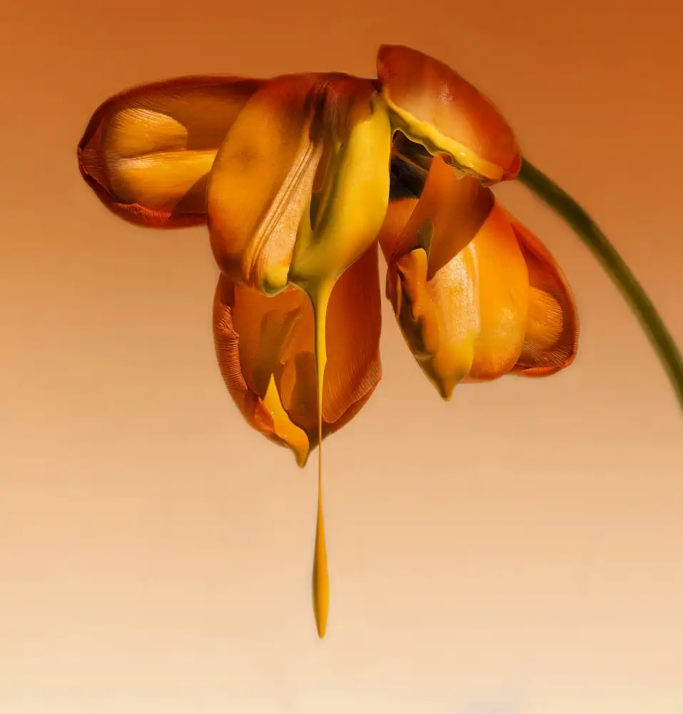 Mathiesen, Kent: Les larmes d'une fleur