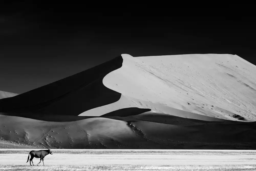 Guillemot, Mathilde: Il solitario
