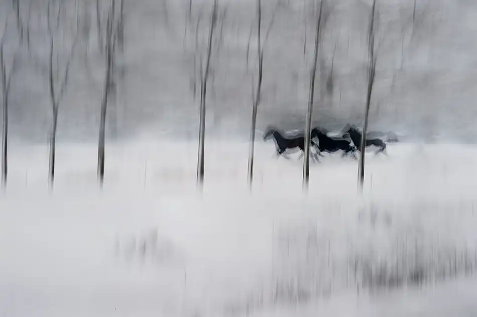 Malovrh, Milan: tre