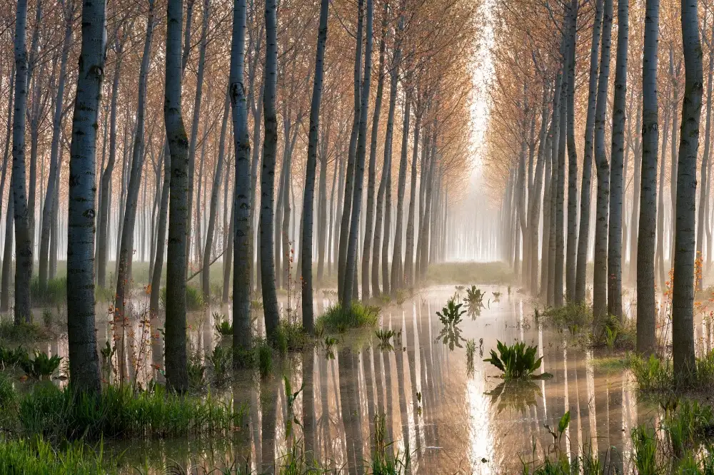 Spettoli, Raffaele: Piogge di primavera