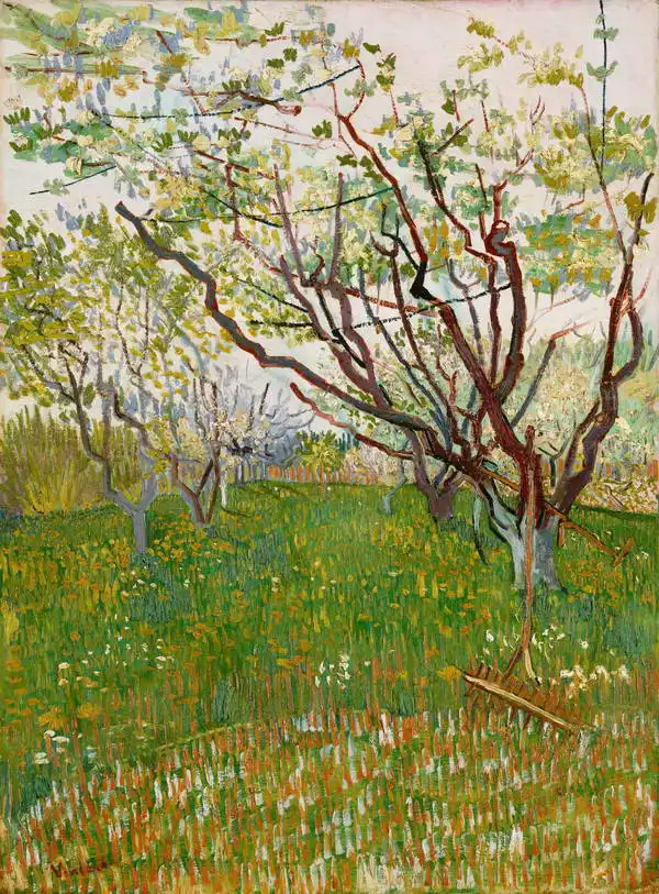 Gogh, Vincent van: Blooming orchard