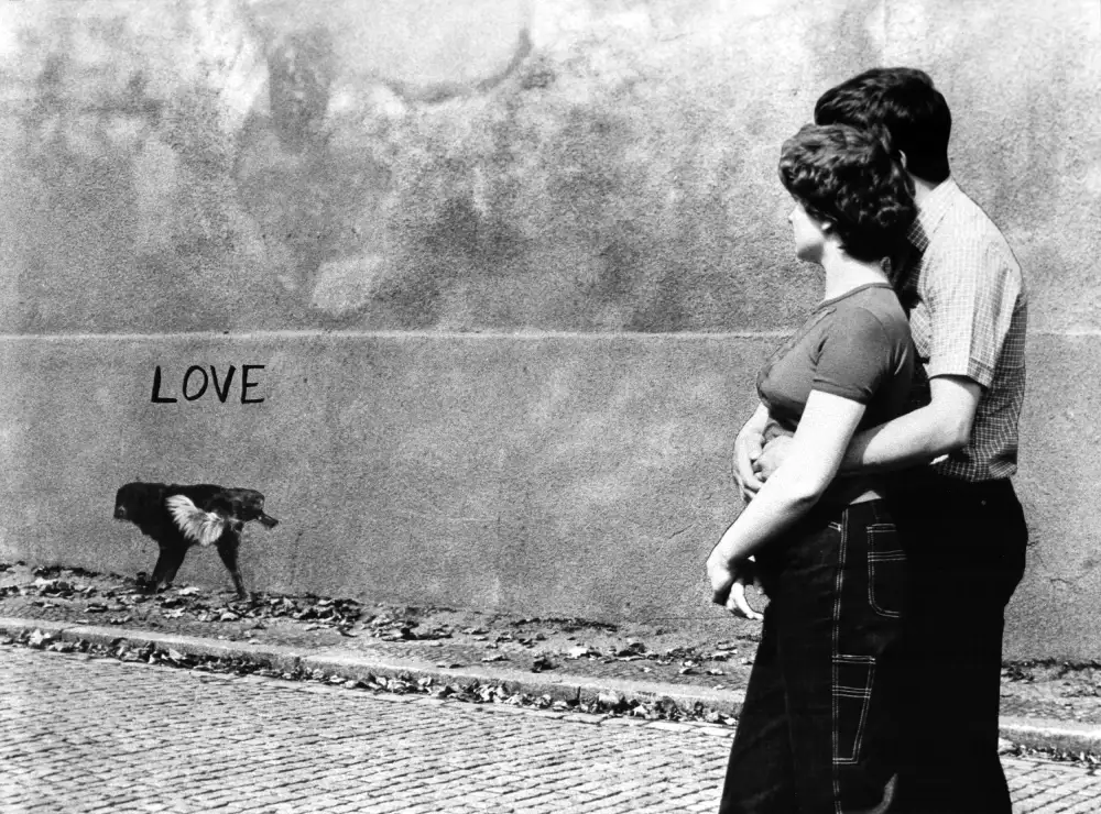 Stefan, Jacek: Love