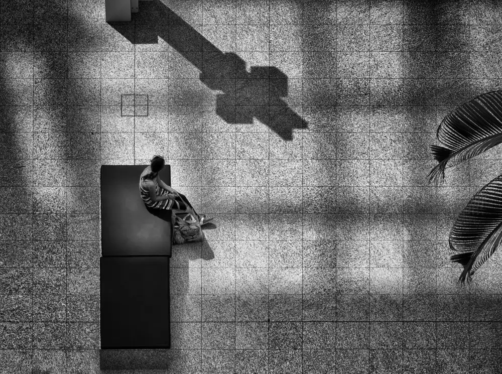 Son, van Greetje: Vista degli uccelli