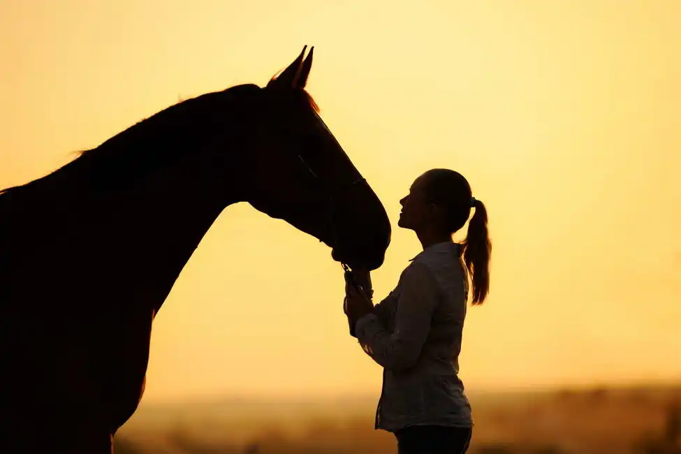 Neznámý: Mladá dívka s koněm