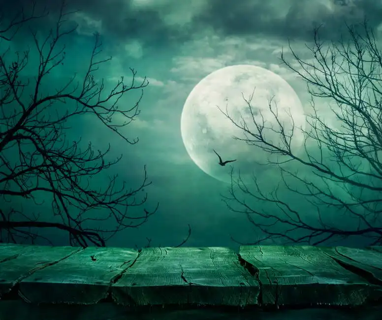 Unknown: Haunted forest with full moon | Nature | Photographs 