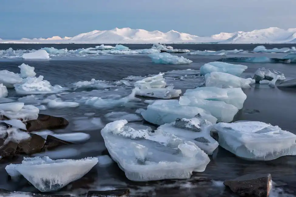 Neznámý: Arktické pobřeží