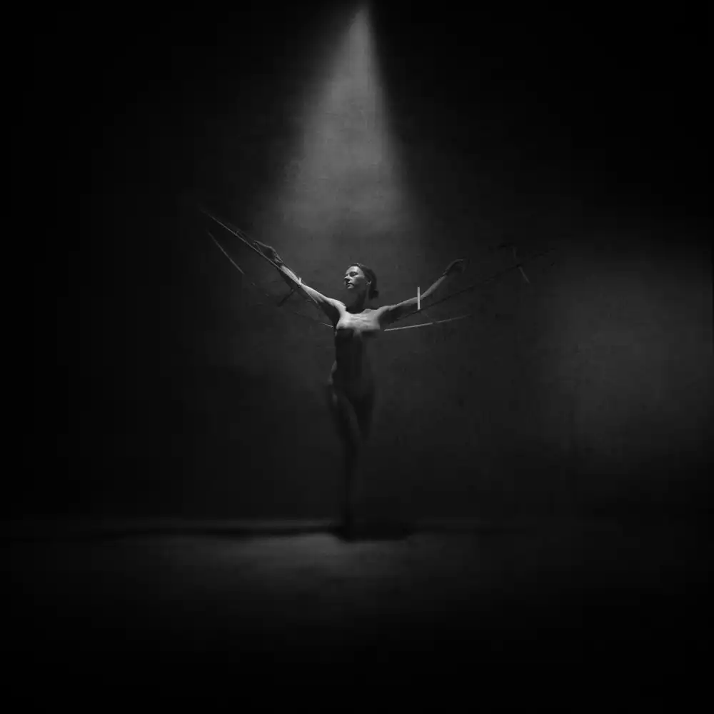 Vasiliev-Apostol, Yaroslav: ***