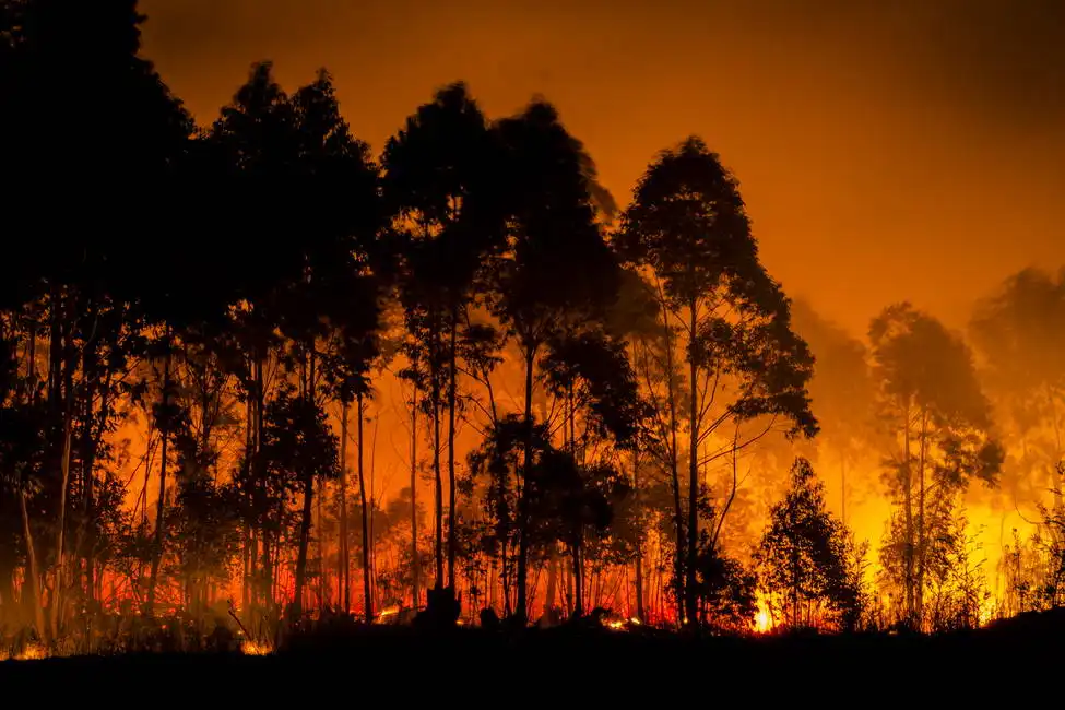 Unknown: Feuer
