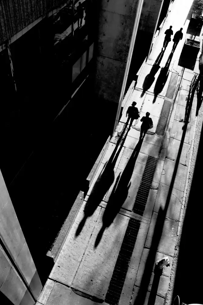 Wang, Jian: Via della Regina